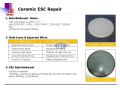Ceramic ESC Repair